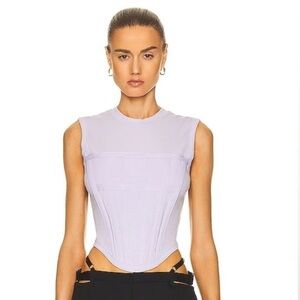 Dion Lee Amethyst Corset Top